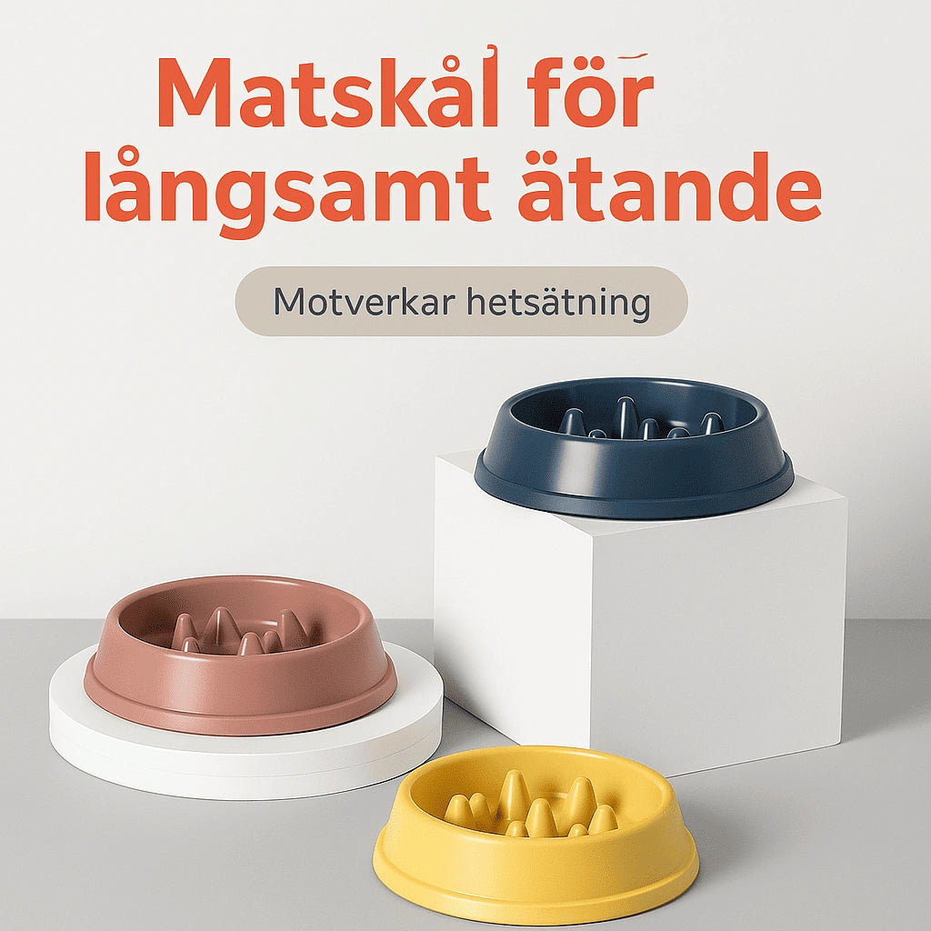 Hundskål Slow Feeder – Stoppa Hetsslukandet, Minska Kvävningsrisk & Främja Hälsosamt Ätande
