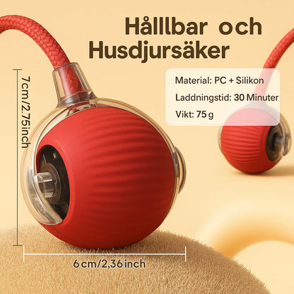 Interaktiv Boll för Katter – Rullar Själv, Laddas via USB, Aktiverar Lek & Motion