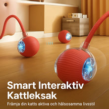 Interaktiv Boll för Katter – Rullar Själv, Laddas via USB, Aktiverar Lek & Motion