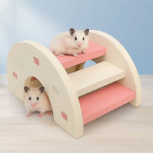 Regnbågsbro för Hamster – Stege & Lekbrygga för Smådjur