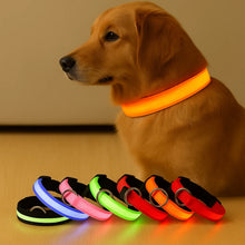 LED Hundhalsband – Reflekterande & Laddningsbart för Säker Nattpromenad