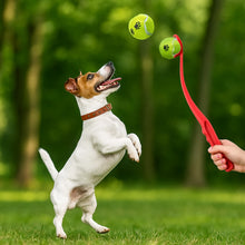Kastpinne för Hund – Bollkastare för Roliga & Aktiva Stunder