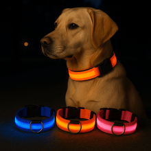 LED Hundhalsband