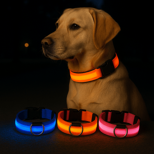 LED Hundhalsband