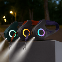 Automatisk LED-Hundkoppel med Ficklampa 5 m
