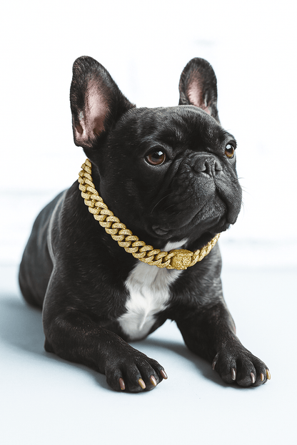 Lyxig Hundkedja i Guld