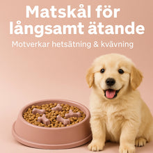 Hundskål Slow Feeder – Stoppa Hetsslukandet, Minska Kvävningsrisk & Främja Hälsosamt Ätande