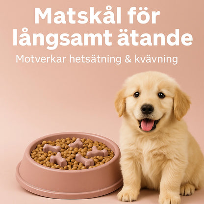 Hundskål Slow Feeder – Stoppa Hetsslukandet, Minska Kvävningsrisk & Främja Hälsosamt Ätande