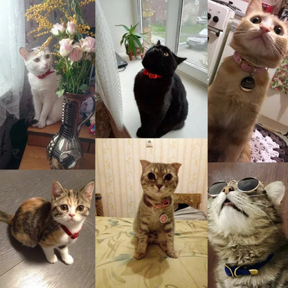 Katthalsband med Bjällra – Justerbart & Säker Design för Katt, Valp & Små Hundar