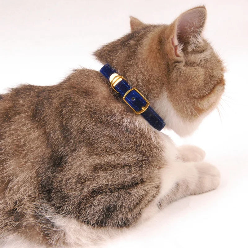 Katthalsband med Bjällra – Justerbart & Säker Design för Katt, Valp & Små Hundar