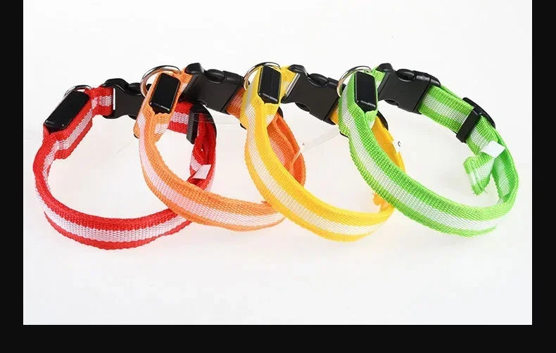 LED Hundhalsband – Reflekterande & Laddningsbart för Säker Nattpromenad