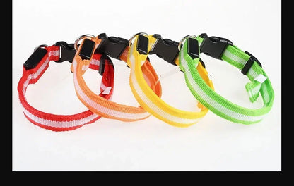 LED Hundhalsband – Reflekterande & Laddningsbart för Säker Nattpromenad