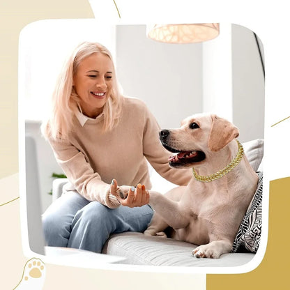 Lyxig Hundkedja i Guld – Justerbart Metallhalsband för Hund & Katt, Smycke & Accessoar