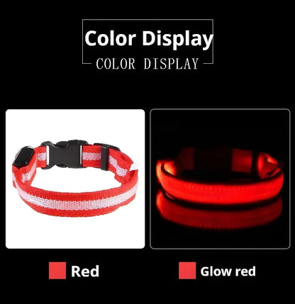 LED Hundhalsband – Reflekterande & Laddningsbart för Säker Nattpromenad