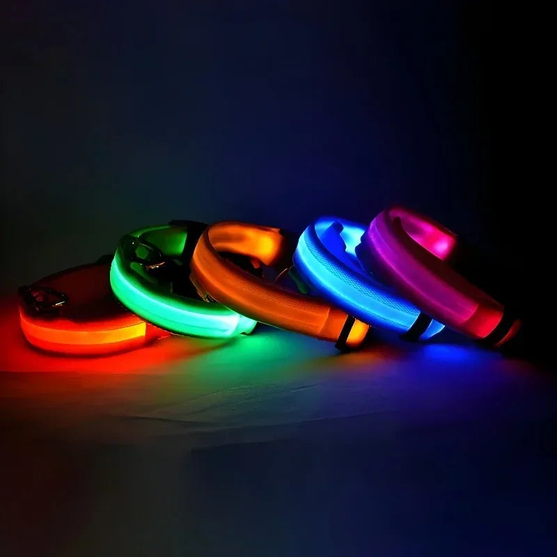 LED Hundhalsband – Reflekterande & Laddningsbart för Säker Nattpromenad