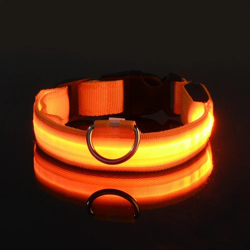 LED Hundhalsband – Reflekterande & Laddningsbart för Säker Nattpromenad