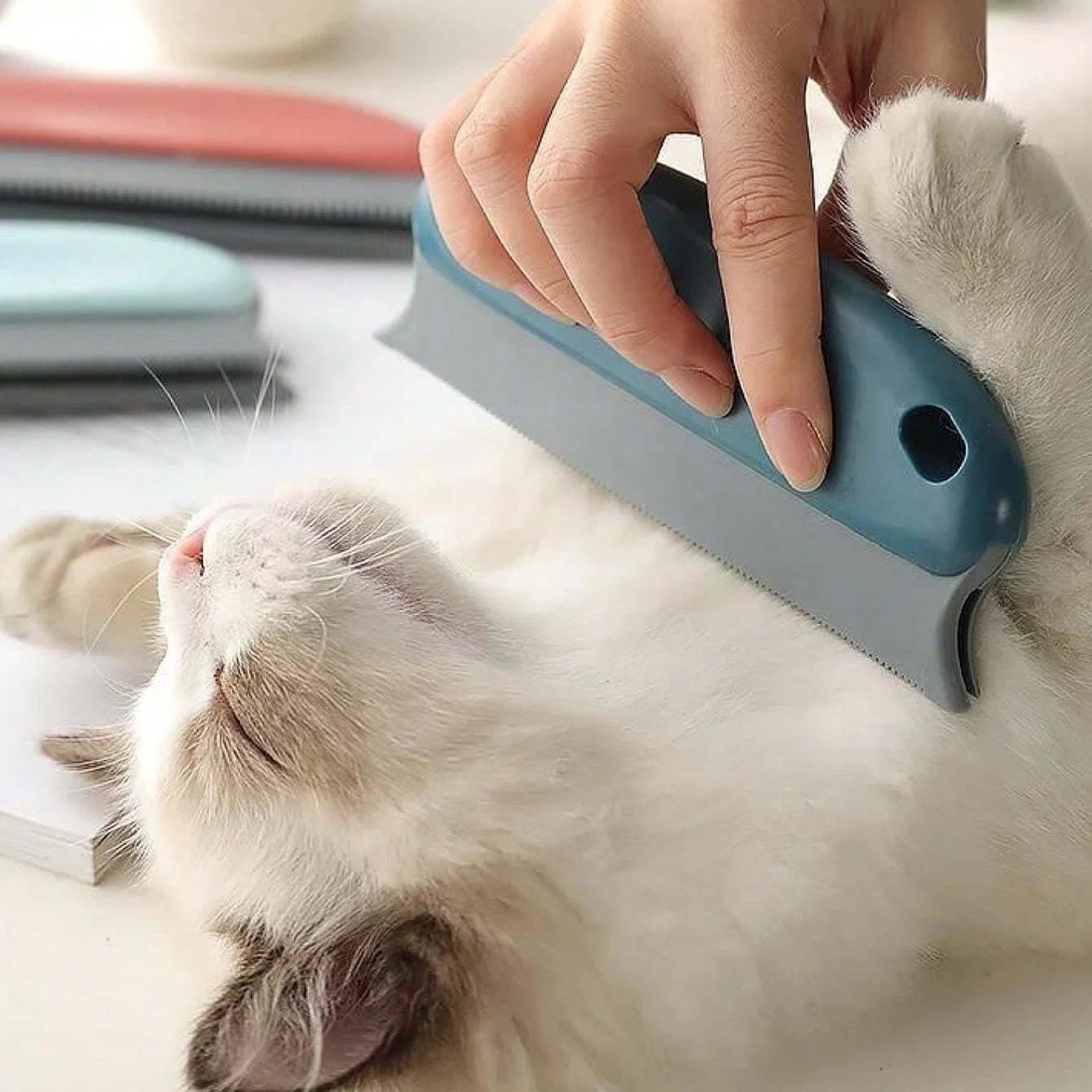 Effektiv Pälsborttagare – För Katt & Hund, Möbler & Textilier