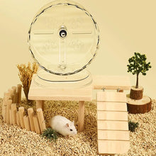 Tyst Hamsterhjul i Transparent Design – Motion & Lek (S, M, L)