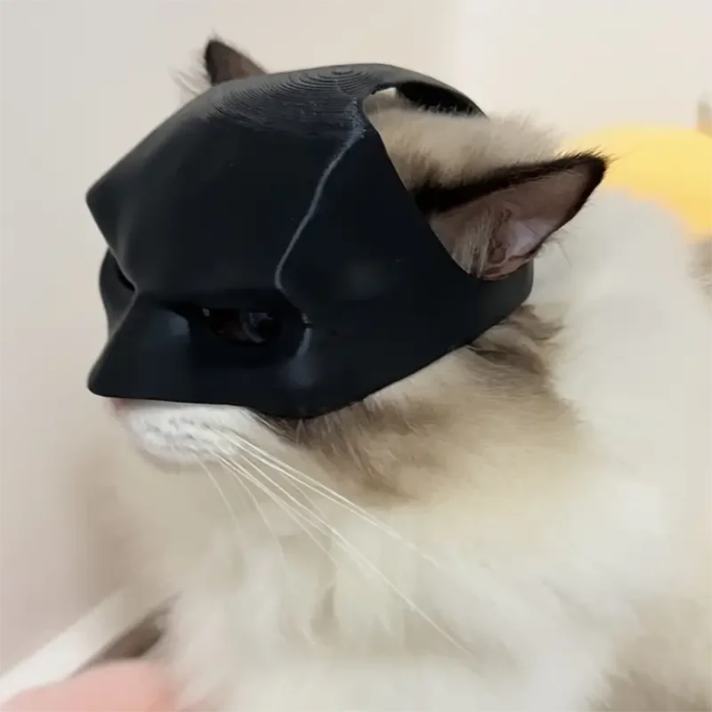 BatCat Mask – Rolig Superhjältemask för Katt