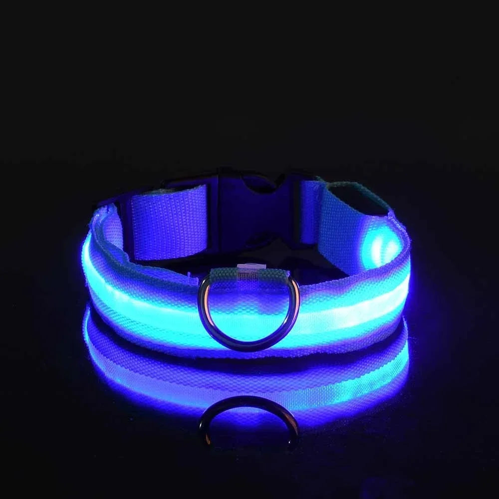 LED Hundhalsband – Reflekterande & Laddningsbart för Säker Nattpromenad