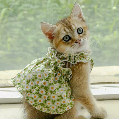 Sommarklänning för Katt, Smådjur & Liten Hund – Blommig Design i Bomull med Hängsel