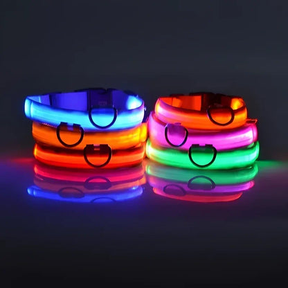 LED Hundhalsband – Reflekterande & Laddningsbart för Säker Nattpromenad