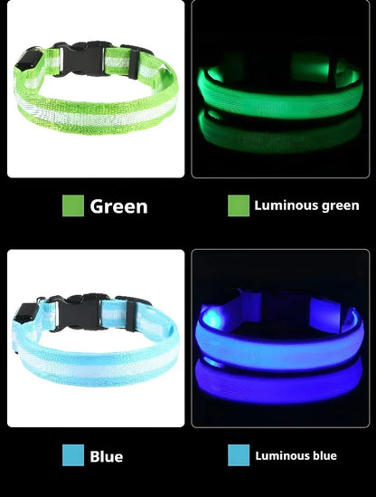 LED Hundhalsband – Reflekterande & Laddningsbart för Säker Nattpromenad