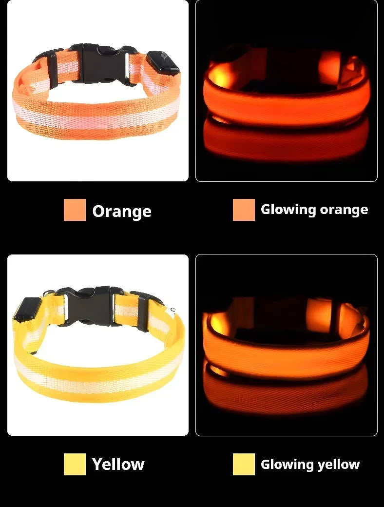 LED Hundhalsband – Reflekterande & Laddningsbart för Säker Nattpromenad