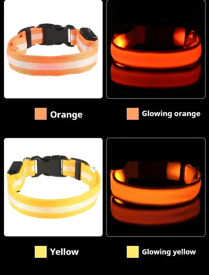 LED Hundhalsband – Reflekterande & Laddningsbart för Säker Nattpromenad