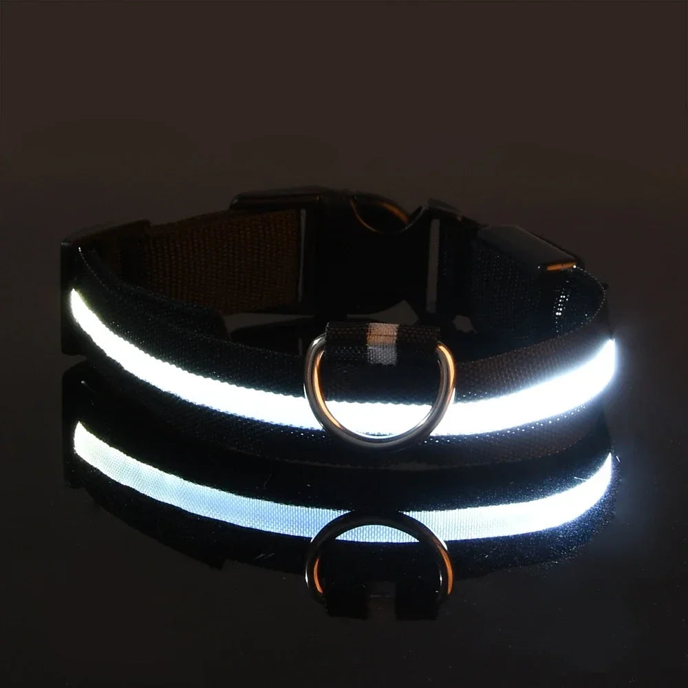 LED Hundhalsband – Reflekterande & Laddningsbart för Säker Nattpromenad