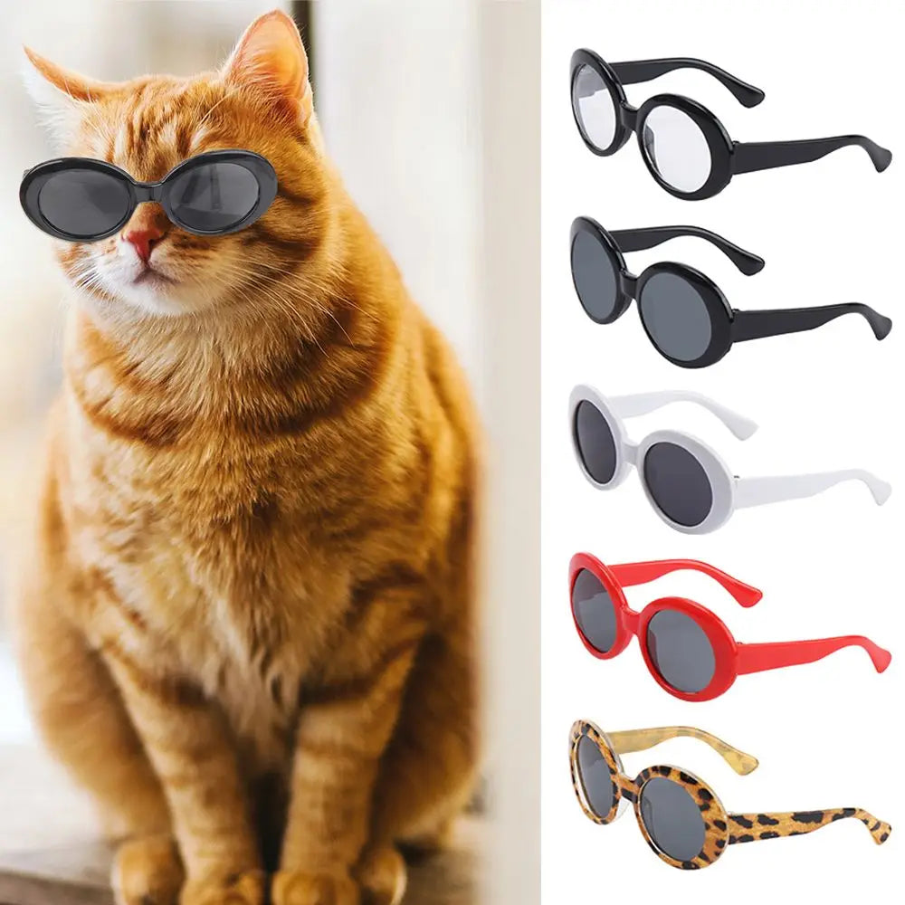 Runda Solglasögon för Katt – Coola Färger & Stilren Design