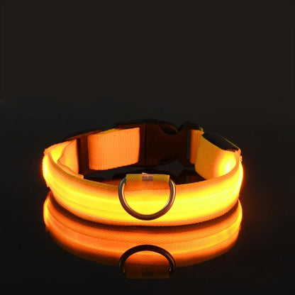 LED Hundhalsband – Reflekterande & Laddningsbart för Säker Nattpromenad