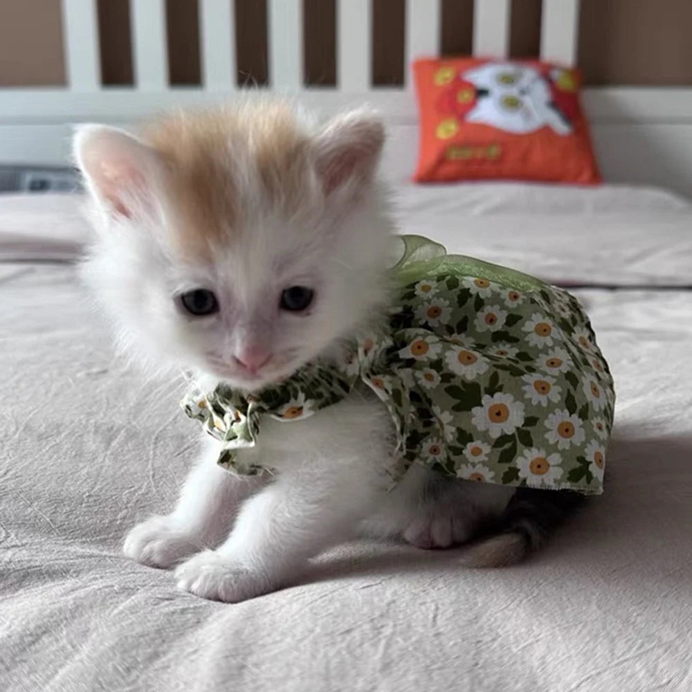 Sommarklänning för Katt, Smådjur & Liten Hund – Blommig Design i Bomull med Hängsel