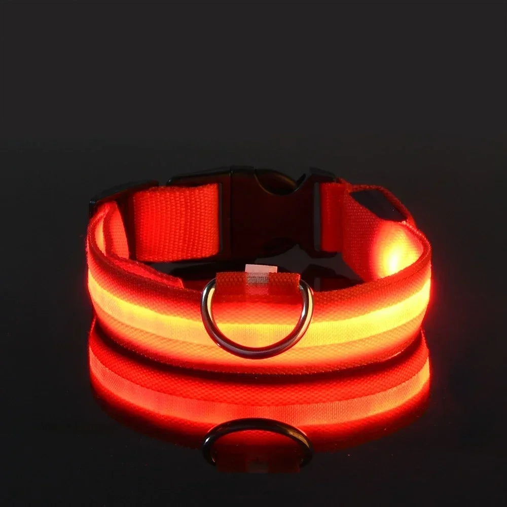 LED Hundhalsband – Reflekterande & Laddningsbart för Säker Nattpromenad