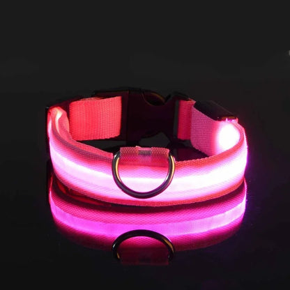 LED Hundhalsband – Reflekterande & Laddningsbart för Säker Nattpromenad