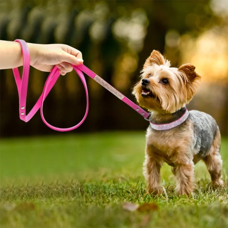 Glittrigt Hundhalsband med Kristaller – Justerbart Halsband för Små & Medelstora Hundar