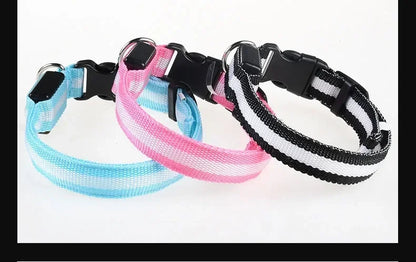 LED Hundhalsband – Reflekterande & Laddningsbart för Säker Nattpromenad