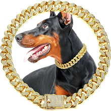 Lyxig Hundkedja i Guld – Justerbart Metallhalsband för Hund & Katt, Smycke & Accessoar