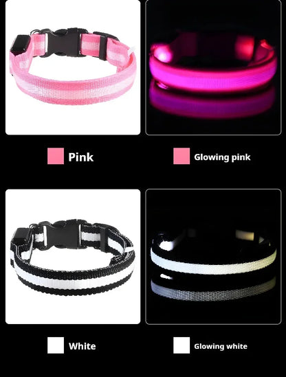 LED Hundhalsband – Reflekterande & Laddningsbart för Säker Nattpromenad