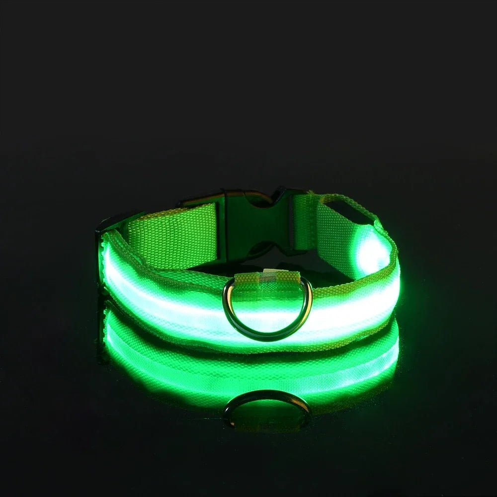 LED Hundhalsband – Reflekterande & Laddningsbart för Säker Nattpromenad
