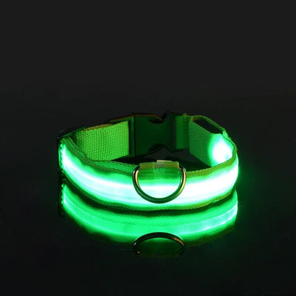 LED Hundhalsband – Reflekterande & Laddningsbart för Säker Nattpromenad
