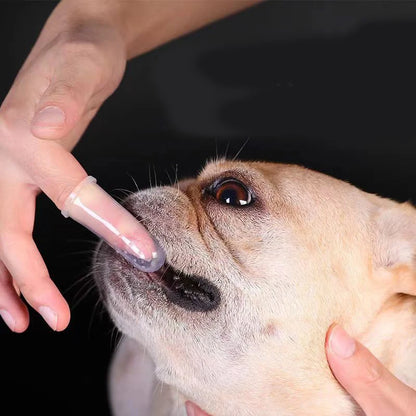 Mjuka Silikon Fingertandborstar för Hund & Katt – 6-pack Tandrengöring & Tandstensborttagare