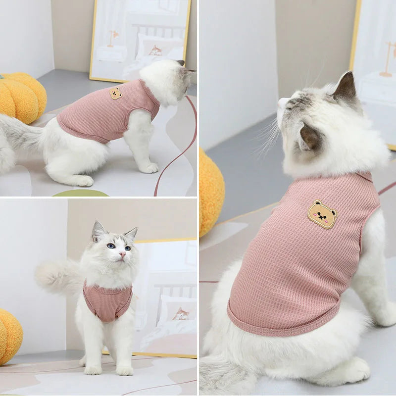 Björntröja för Katt & Liten Hund – Mjuk Bomull för Sommar & Vår