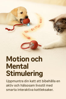 Interaktiv Boll för Katter – Rullar Själv, Laddas via USB, Aktiverar Lek & Motion